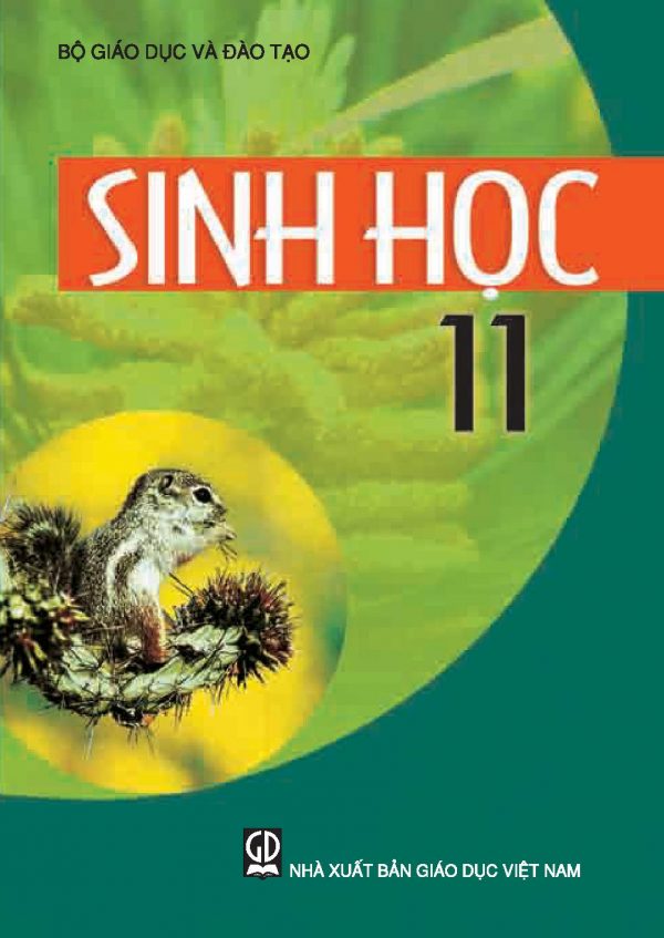 Sinh học 11